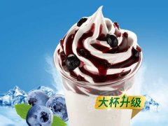 广州市蜜雪冰城加盟费多少钱？开一家蜜雪冰城要投资多少？